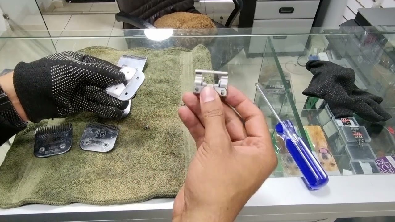 afilado de cuchilla canina en cerámica .   ceramic canine blade sharpening