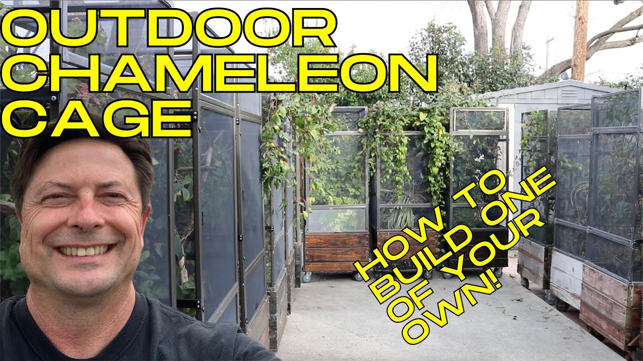 Build an outdoor chameleon cage on wheels!