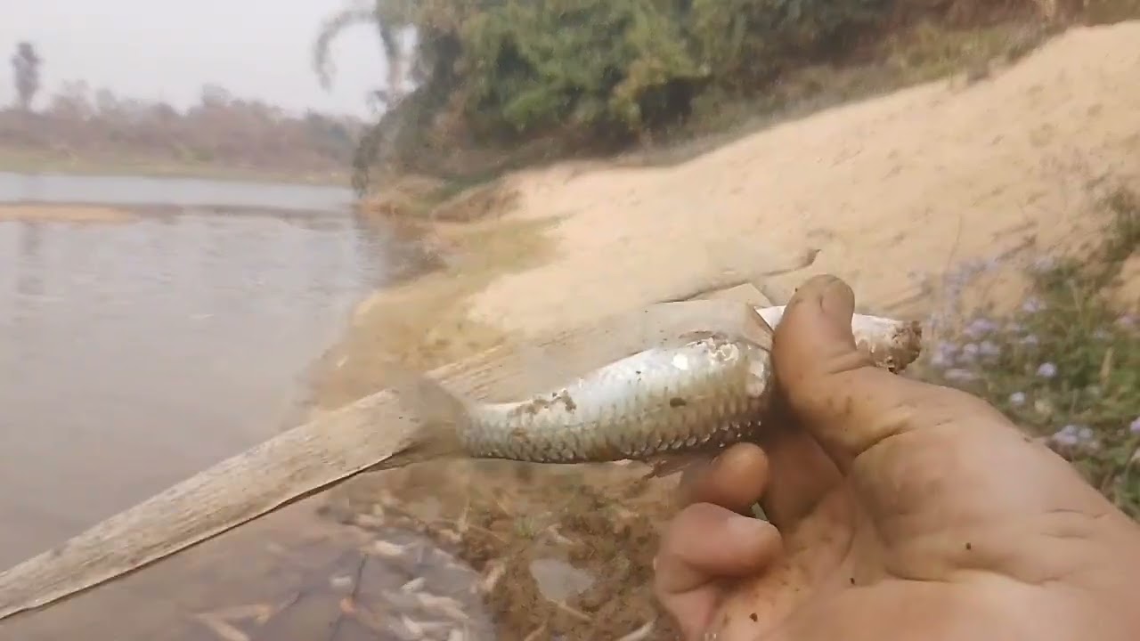 Khwai da u jhur ba jyrngam #fishing 🎣🎣🎣🎣#meghalaya .