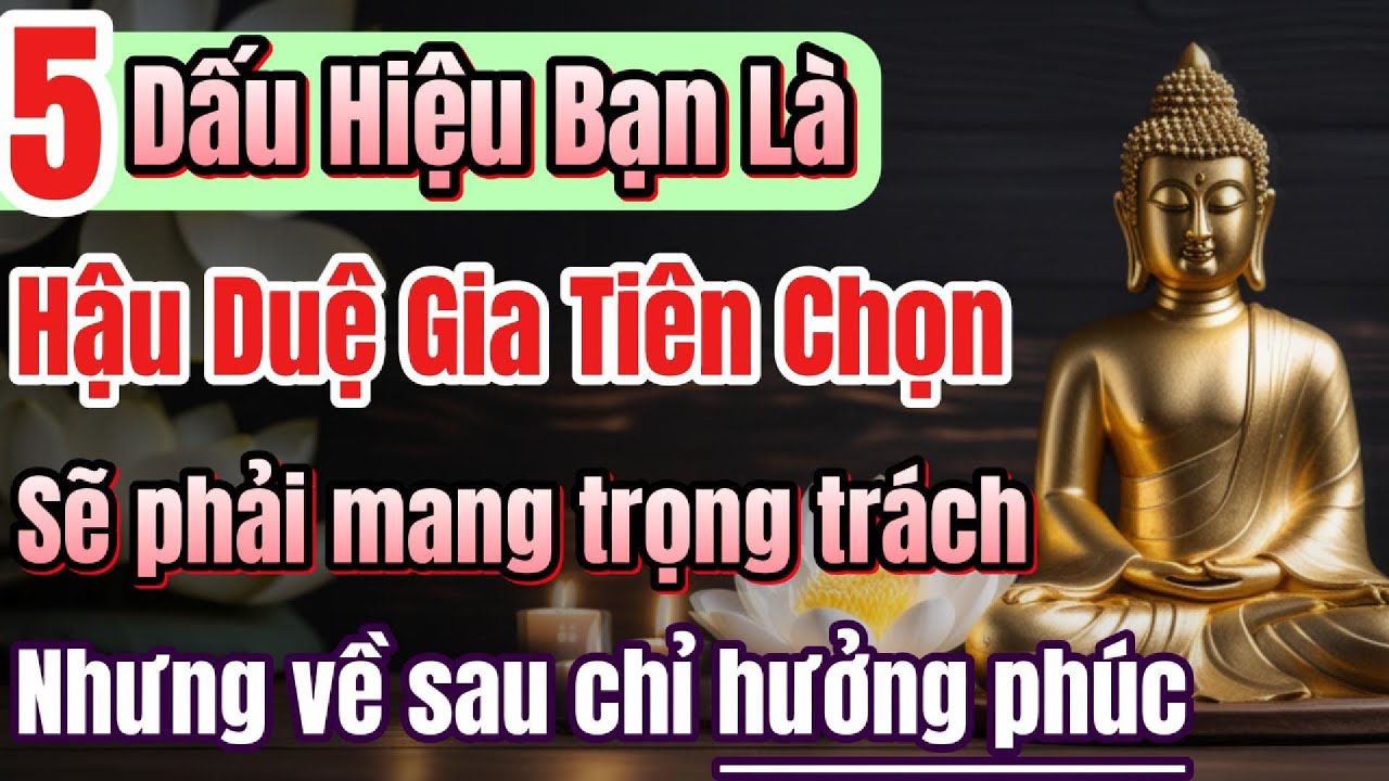 Có ít nhất 3 trong 5 dấu hiệu này, bạn được là Hậu Duệ Gia Tiên, về sau chỉ hưởng phước.