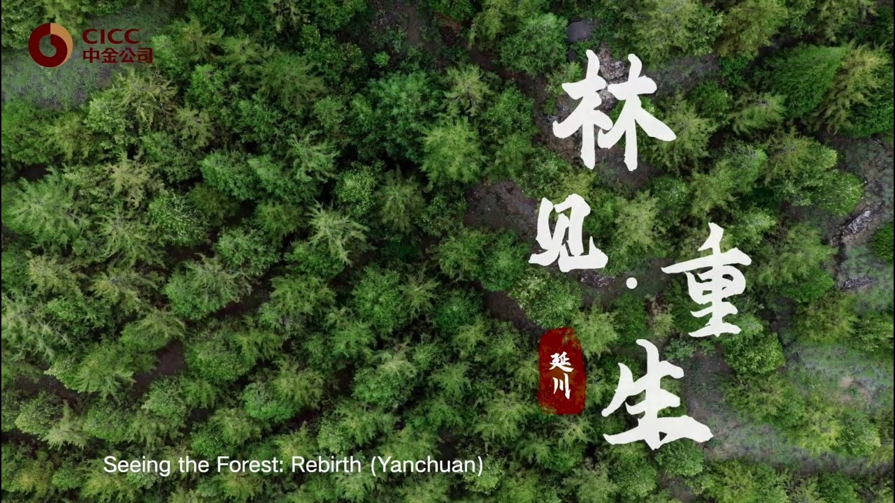 CICC Charity Foundation Ecological Carbon Neutrality Forest (Yanchuan, Shaanxi)
