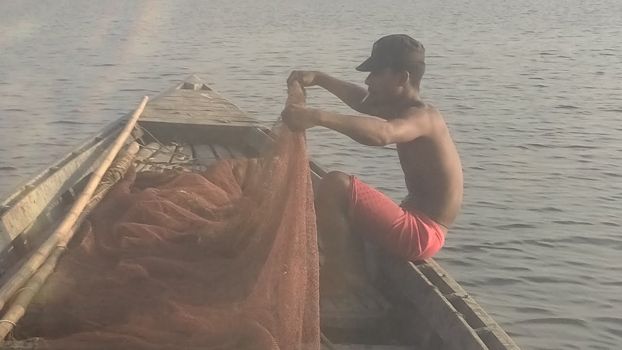 হাসের খাবার নদি থাকা সংগ্রহ করার পদ্ধতি নিয়ে আলোচনা