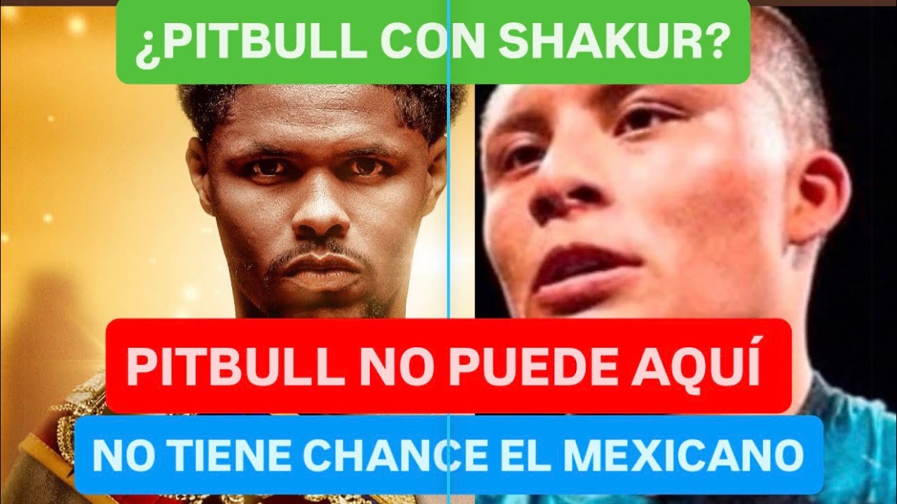 ¿PITBULL CRUZ LE GANA A SHAKUR STEVENSON? DI LA VERDAD: ¡NO TIENE CHANCE EL PITBULL MEXICANO! #boxeo