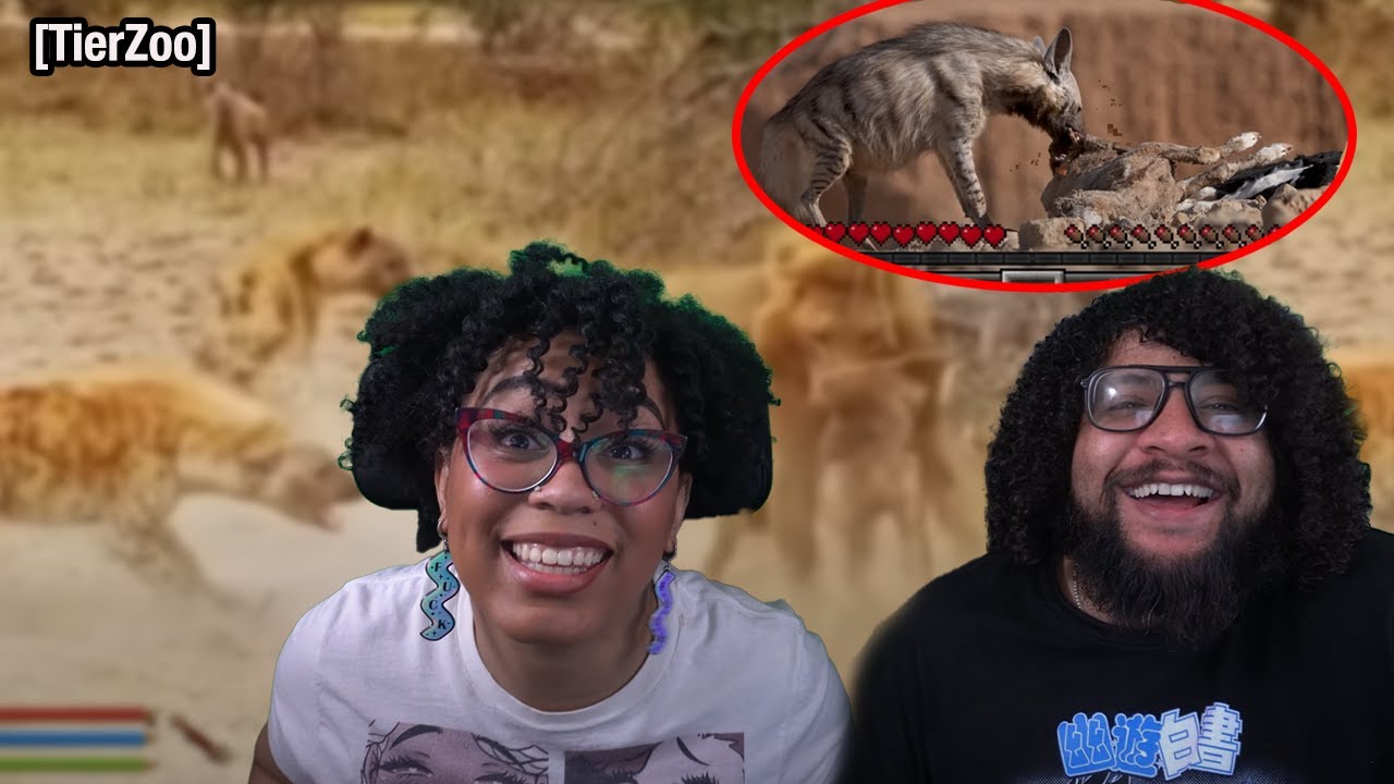 Are Hyenas OP? | TierZoo Reaction