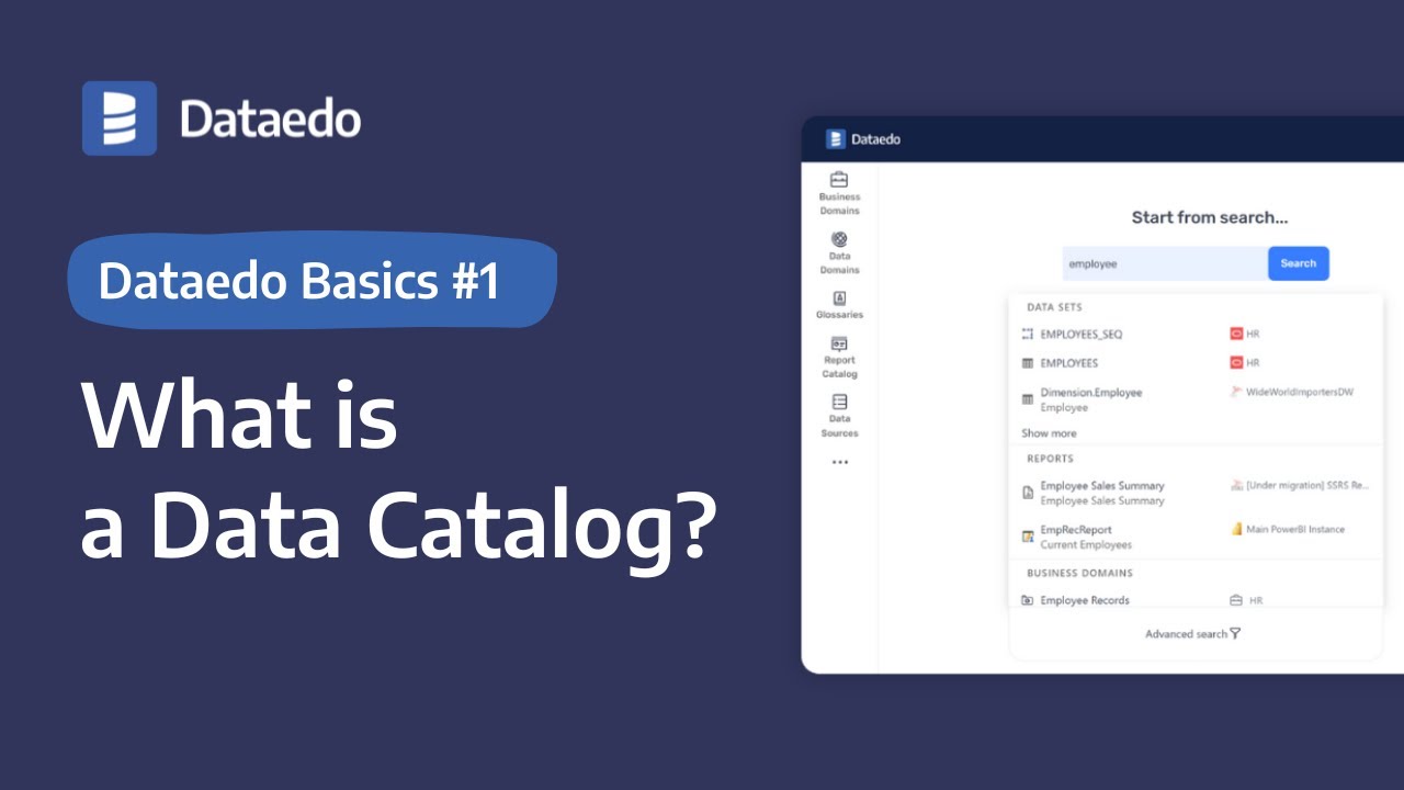 Dataedo Basics #1: What is a Data Catalog