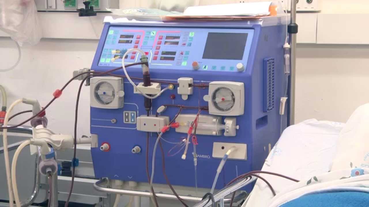 אי ספיקת כליות אקוטית / חריפה: המחלה, התסמינים והטיפול