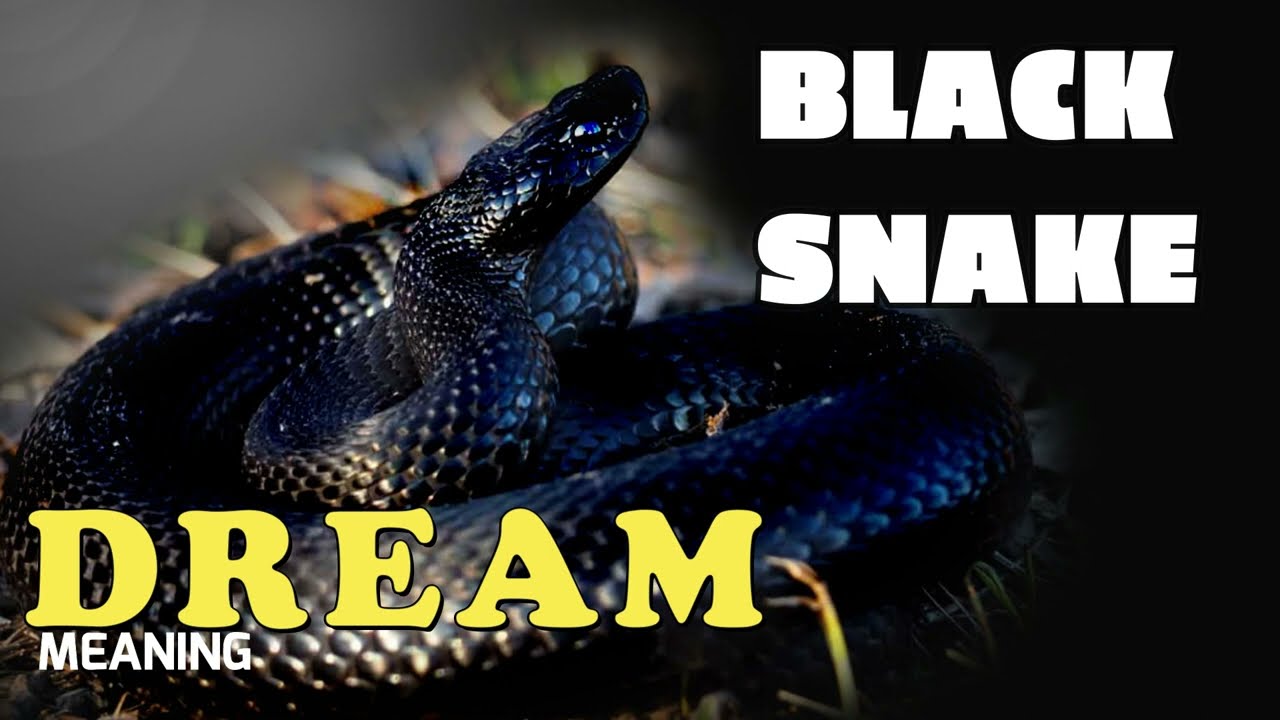 PANAGINIP 11:  Black Snake | Itim na Ahas | Dream Interpretation | Kahulugan ng panaginip | Patnubay