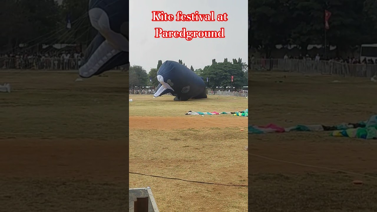 kite festival 2026 at Paredground 