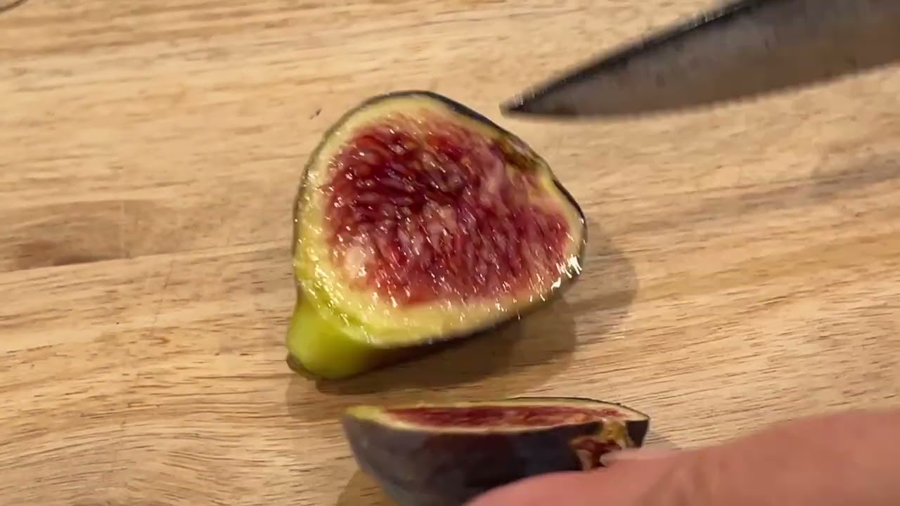 Emalyn's Purple Fig Taste Test 2025
