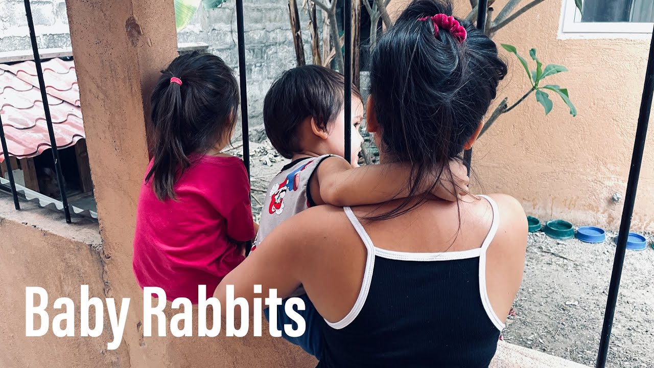 Forrest G. THE ESCAPE ARTIST Climbs Over the Wall PLUS 2 Baby Rabbits!