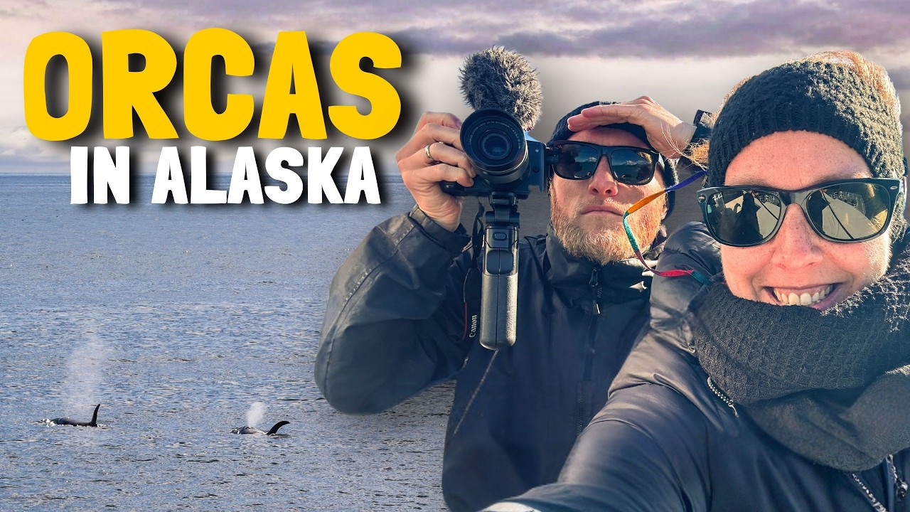 Orcas & Gletscher in Alaska: Lohnt sich die Bootstour ab Seward wirklich?