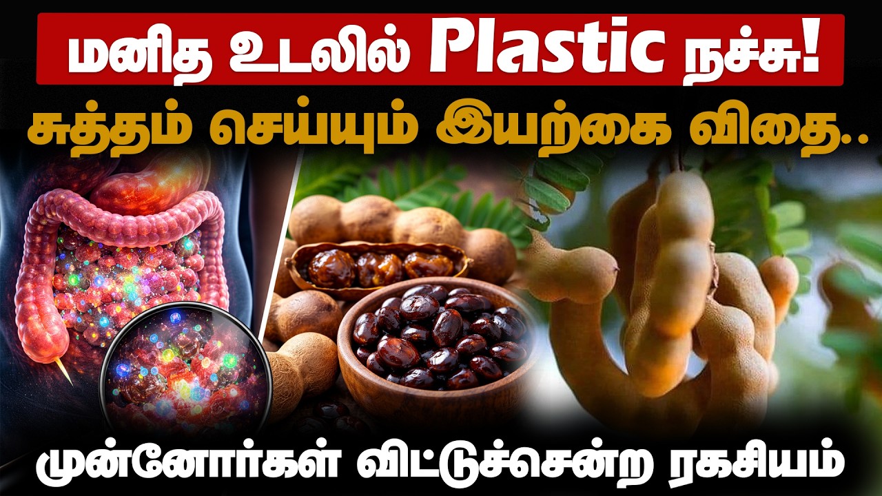 புளியங்கொட்டை செய்யும் அதிசயம்!