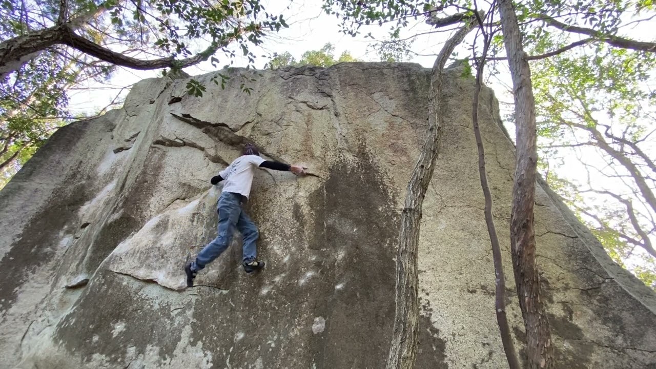 矢掛　アラン　3段