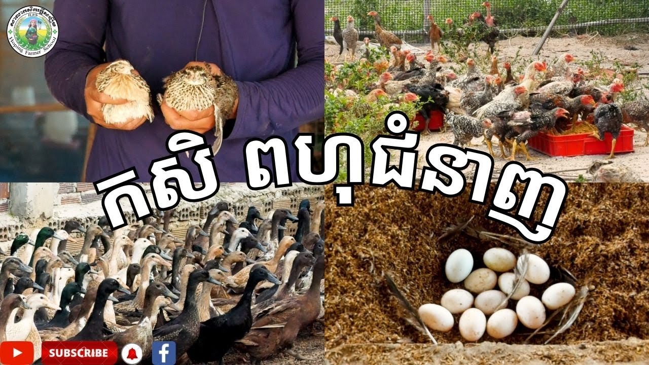 ការចិញ្ចឹមបែបពហុជំនាញ