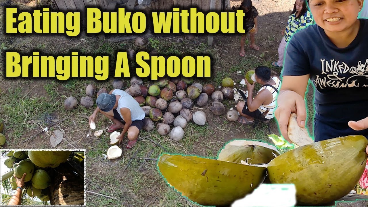 BUHAY BUKID, MAGSASAKA! AT Kung Paano magharvest ng niyog sa Amin/ #mindanao #magsasaka #vlog