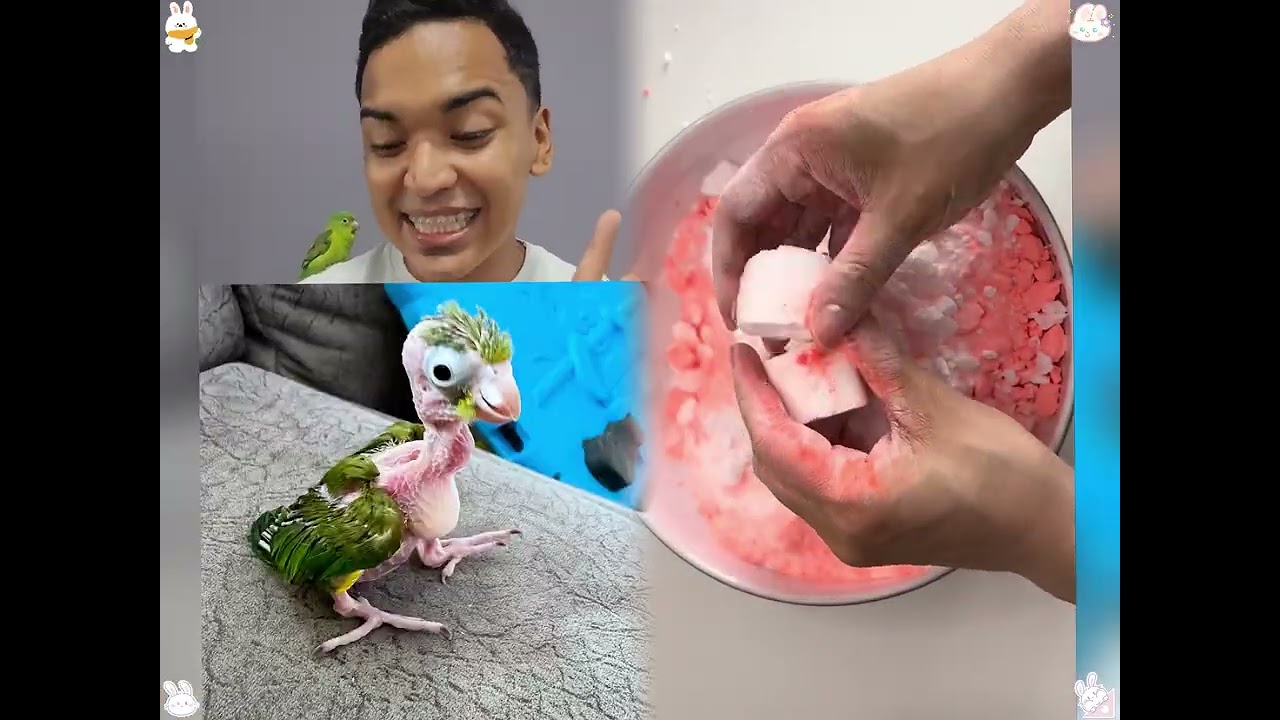 🤣👌👌👌2026 pov Must-Watch Crazy Clips Compilation #humor #fypシ #pov #fyp #foryou 😍😜