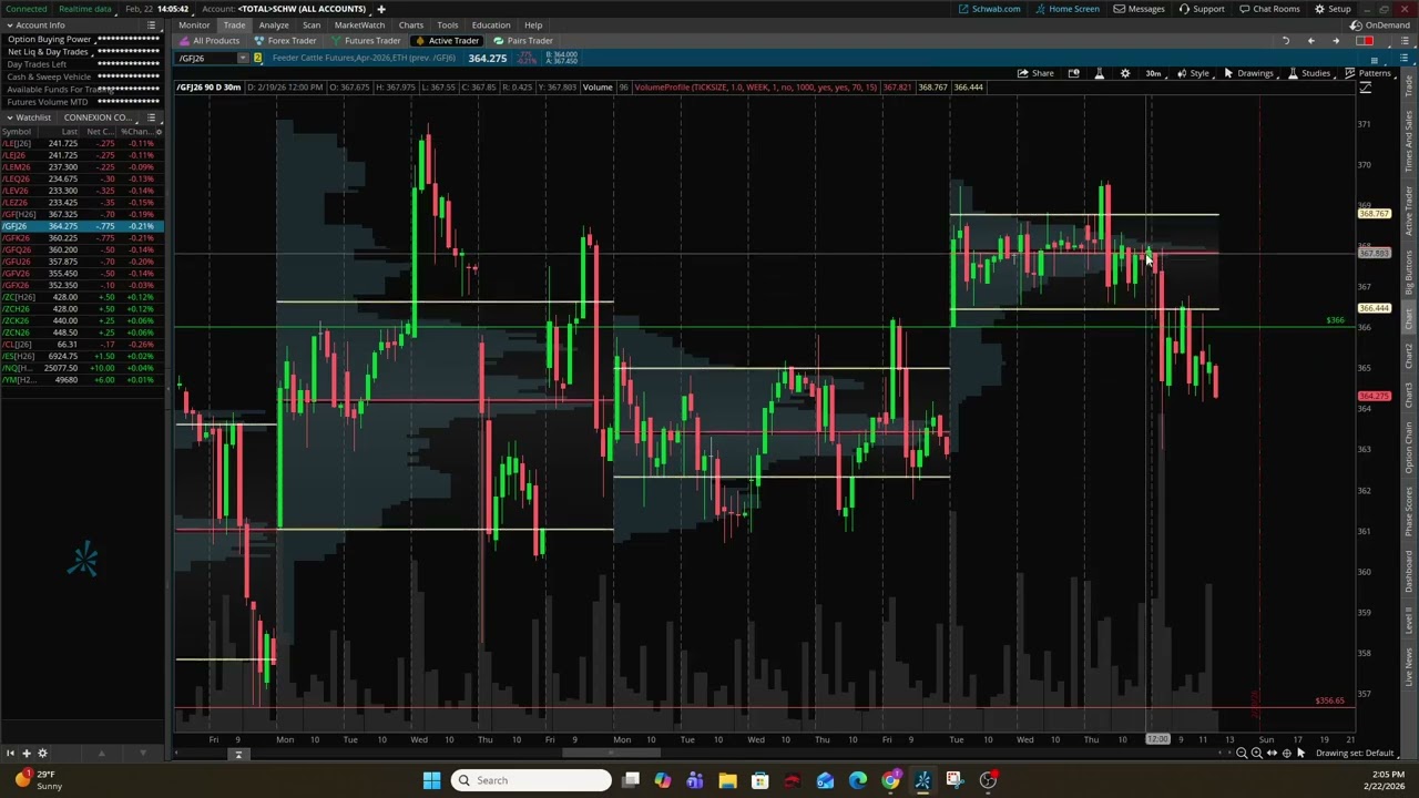 Cattle Futures Market Commentary | Week 8 | Hit the Bid