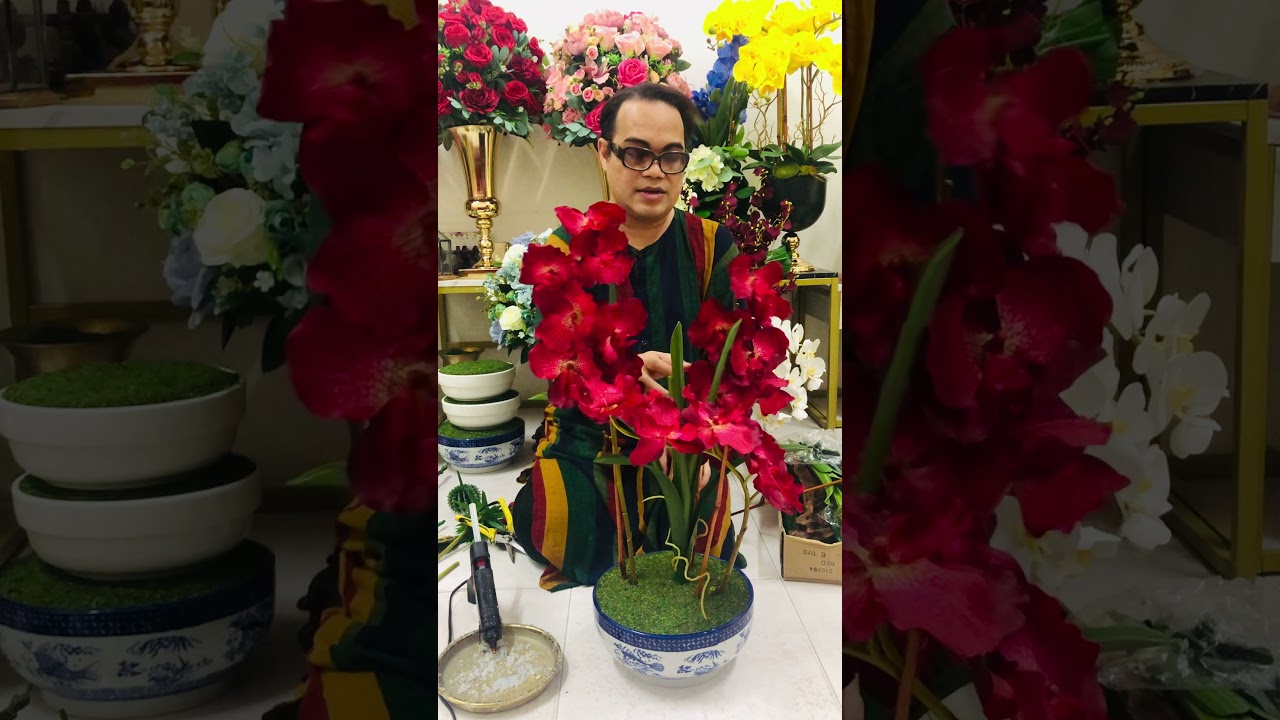 Vanda orchid