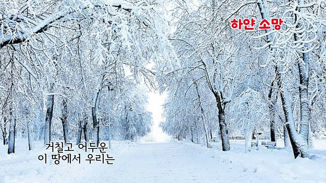 ■장성현가곡교실 [2985] 하얀 소망 ♡노유섭 시/조수정 작곡 