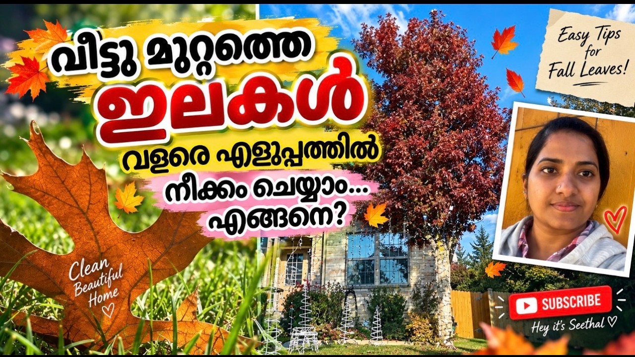 How to clean up Leaves Fast/Leaf Vacuum/Leaf Blower/Yard Cleaning/Lawn care/Leaf Cleanup/Fall season