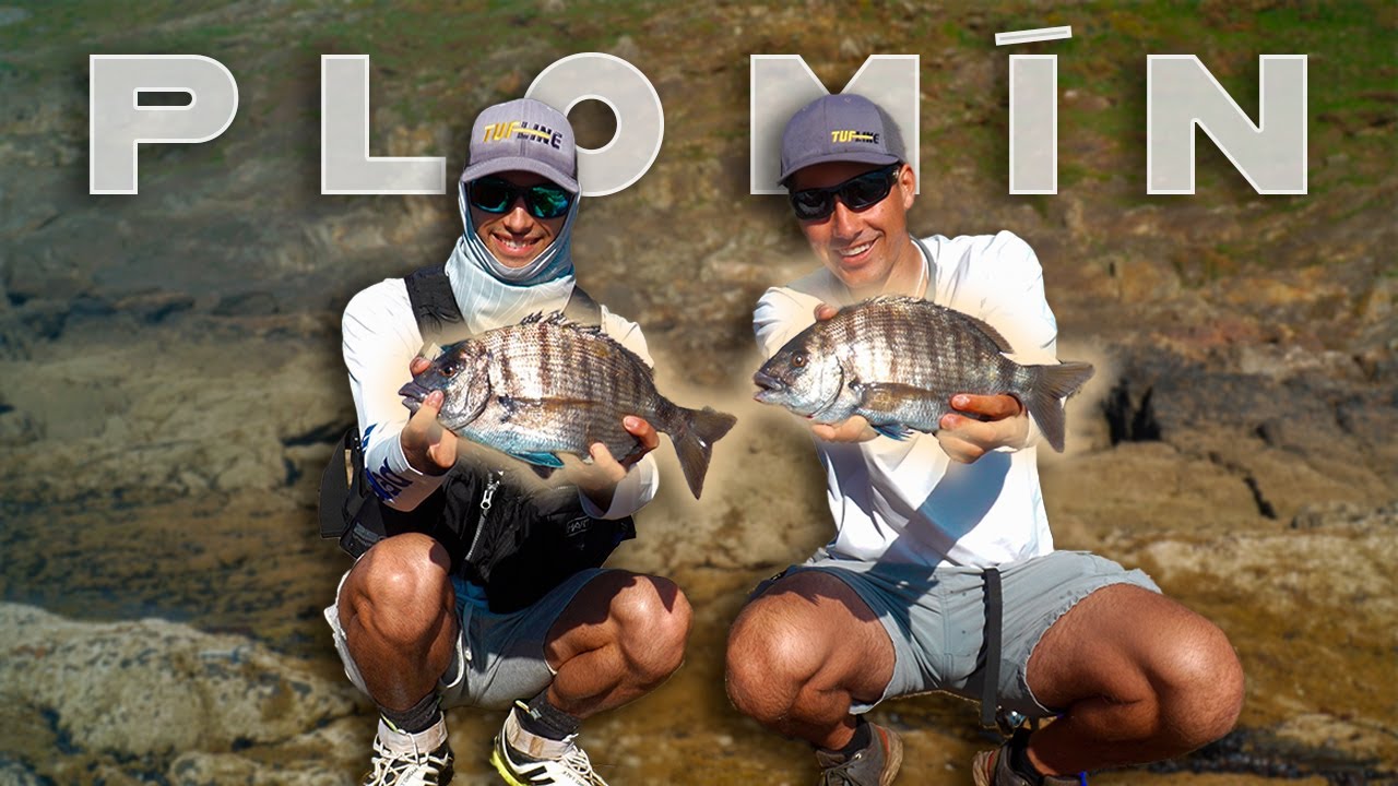 PESCANDO SARGOS al PLOMÍN en GALICIA con caña de 4 METROS
