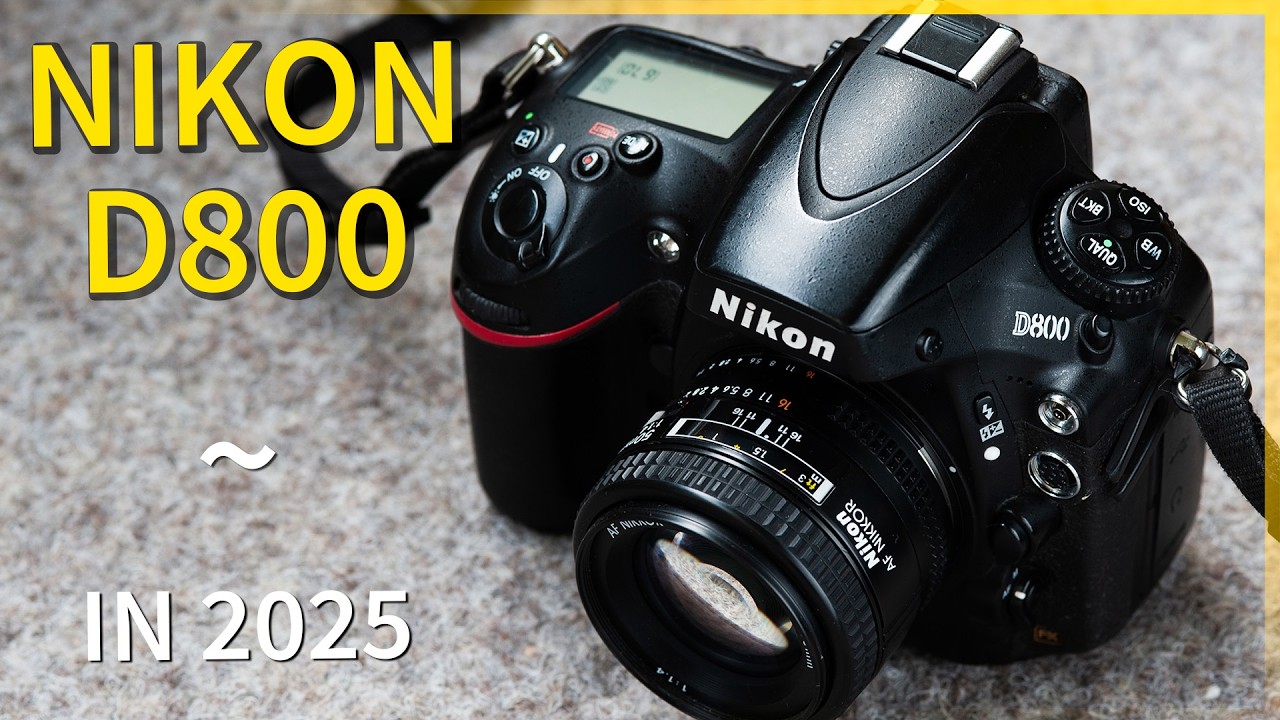 Nikon D800 — первые впечатления в 2025 году!