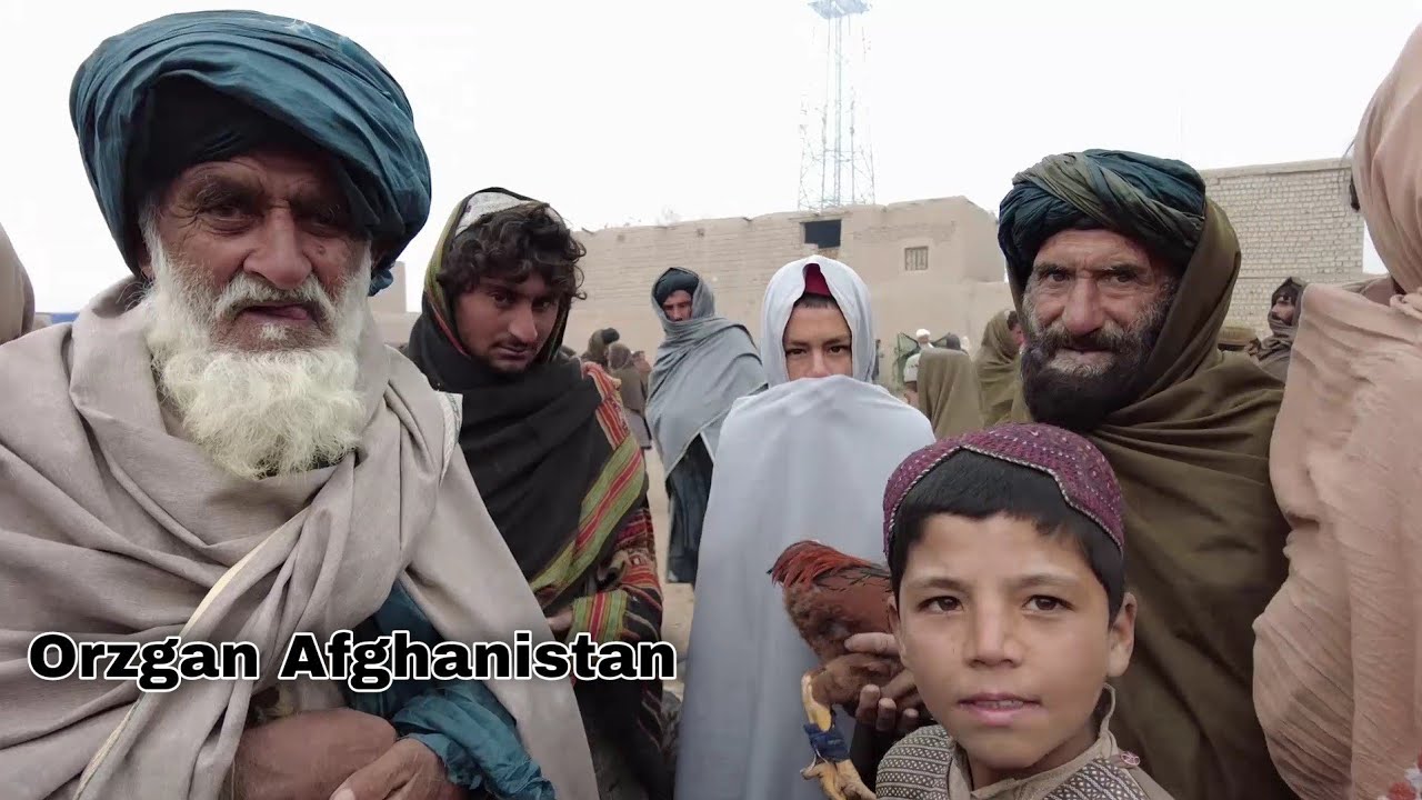 مردم ارزگان - ترین کوت بخاطر چه اين‌جا جمع می شود ؟
