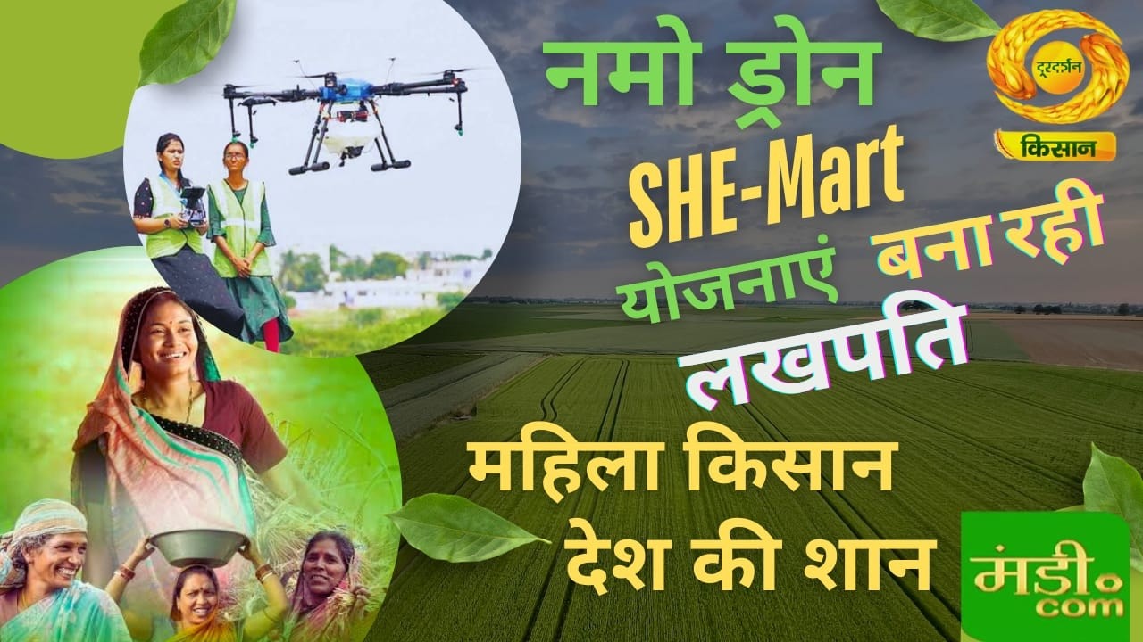 Mandi.com: नमो ड्रोन SHE-MART योजनाएं बना रही लखपति, महिला किसान देश की शान | DD KIsan | 08/03/2026