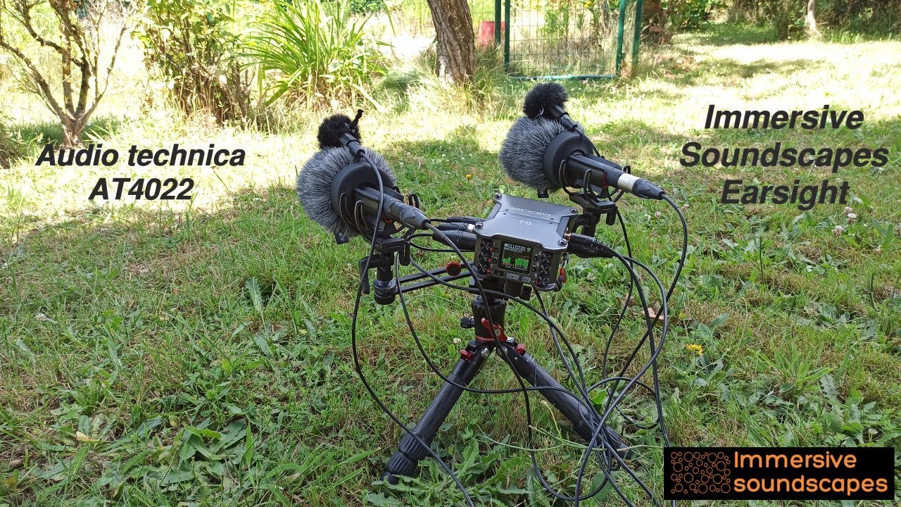 Earsight microphone stereo pair VS Audio technica AT4022 (95€ vs 750€)