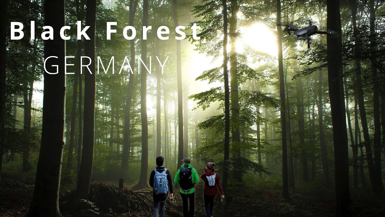 Black Forest - Hausach Germany