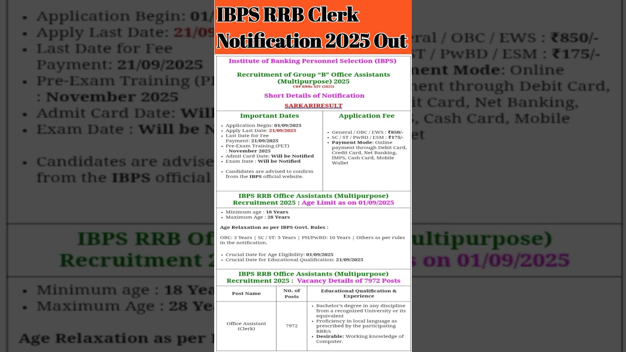 ibps rrb clerk notification 2025 #shorts #ibps_clerk #ibps_clerk_notification_2025 #trendingshorts