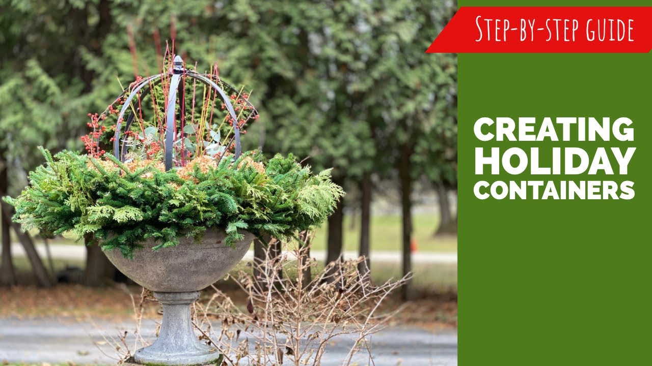Step-by-step holiday containers