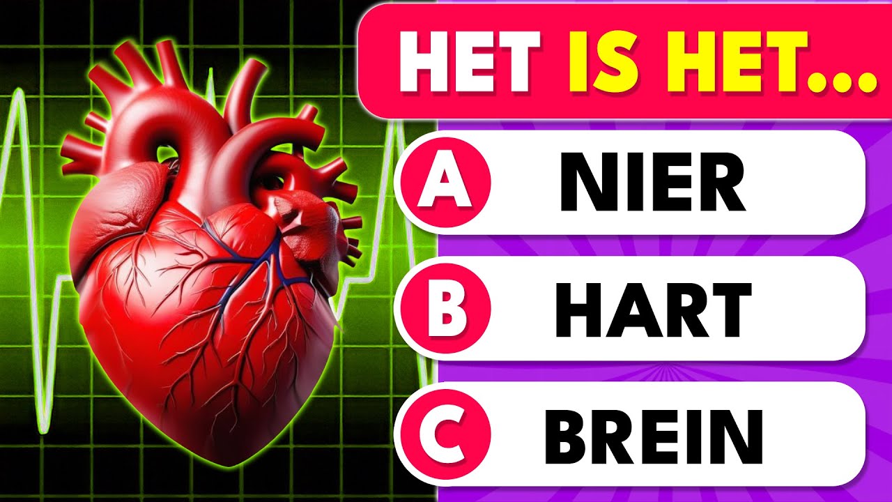 Kun jij deze Menselijk Lichaam Quiz halen? 🧠💪🫀 Algemene Kennisquiz | Gouden Quiz