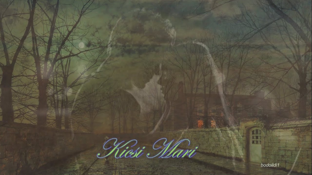 Kicsi Mari - Előadó : Horvát Robi ( Lili Marlene )