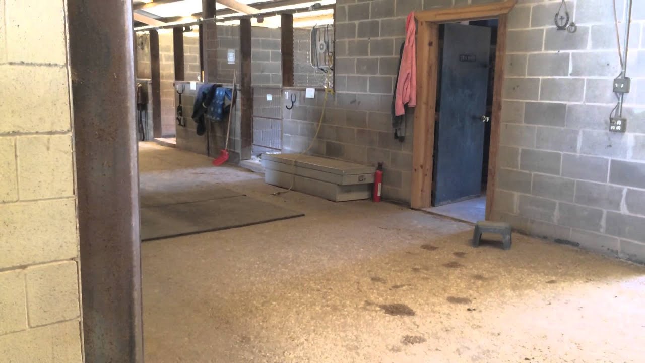 Lindsay getting her first horse!