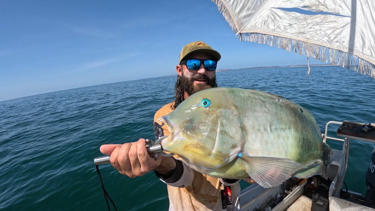 few mint days on the water chasing bluebone n bottom bouncing