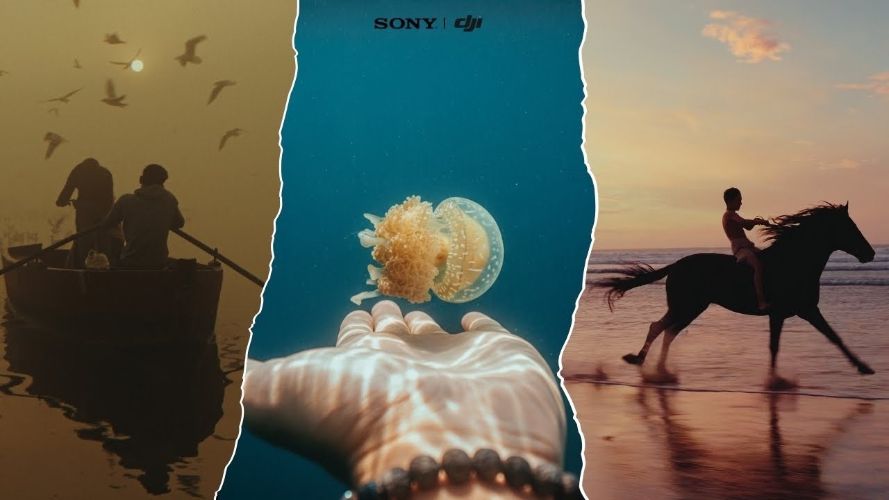 Мир тебя не ждёт!