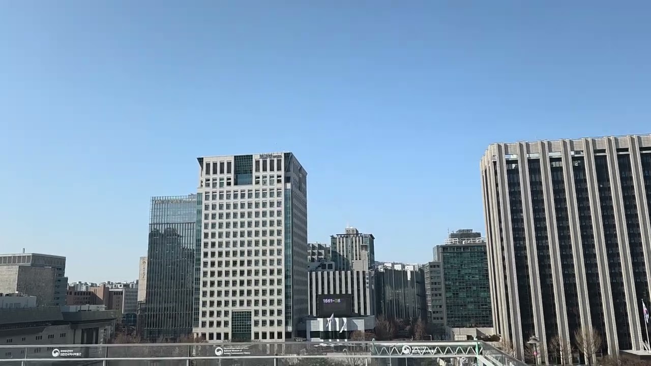 역사박물관에서 보는 경복궁 뷰~#고궁 #경복궁 #산책#나들이#자연경관#서울 