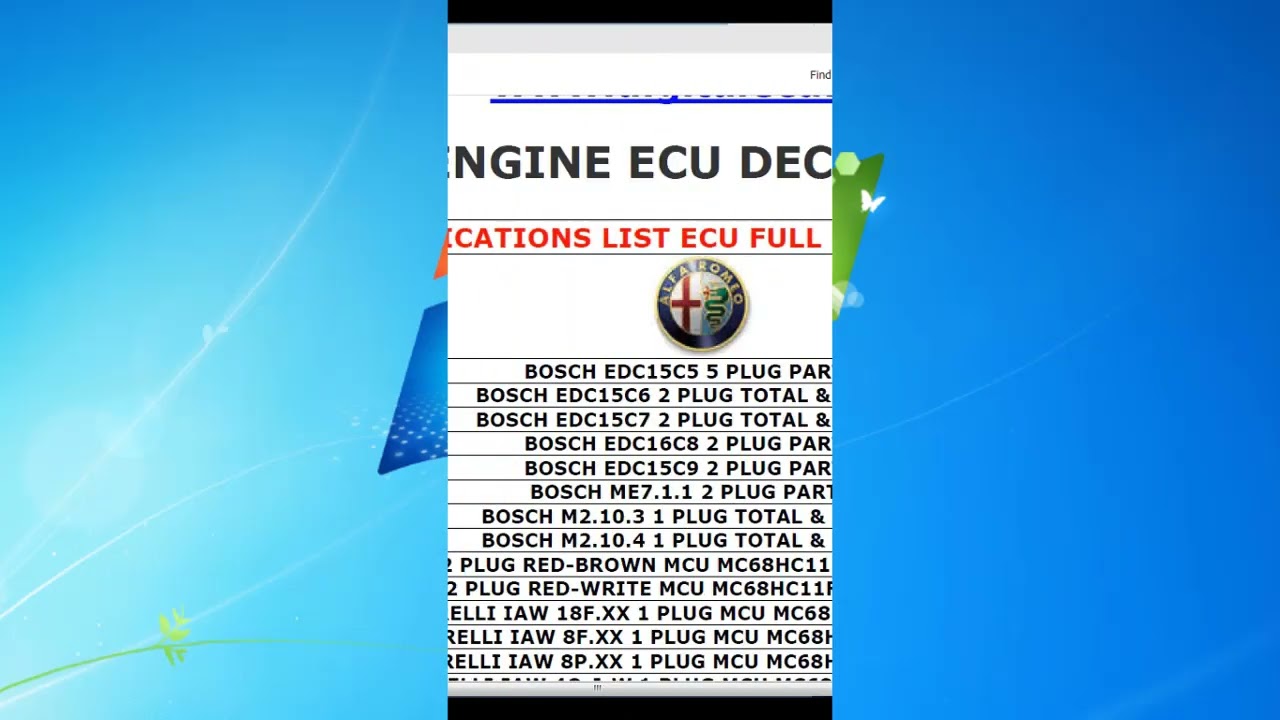 MEUCCI ENGINE ECU DECODING
