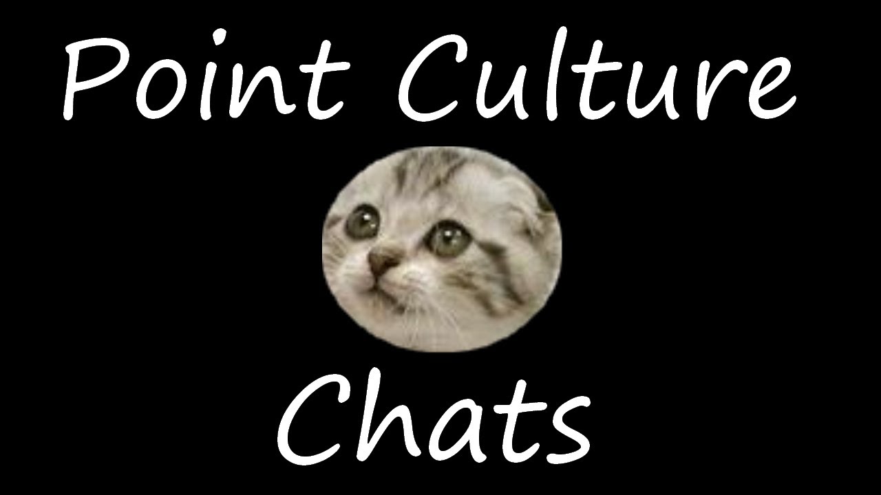 Point Culture sur les Chats