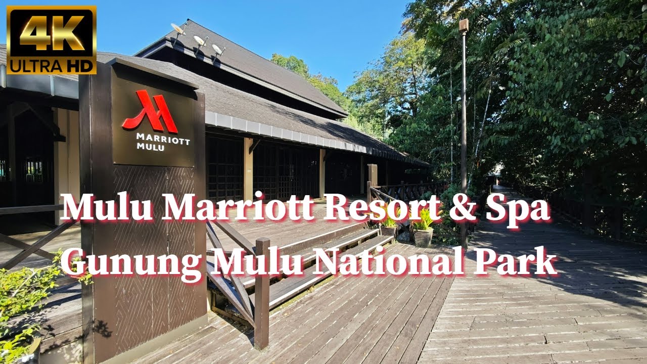 I stayed in MOST expensive five star hotel in Gunung Mulu National Park | Mulu Marriott Resort & Spa