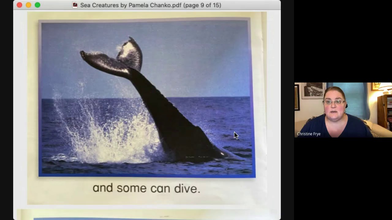Read Aloud of Sea Creatures by Pamela Chanko