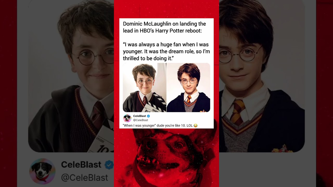 Dominic McLaughlin on landing the lead in HBO's Harry Potter reboot: 