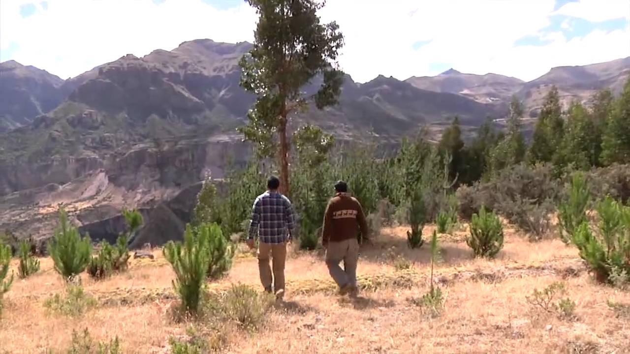 AmbienTV - El Valle del Sondondo(3)