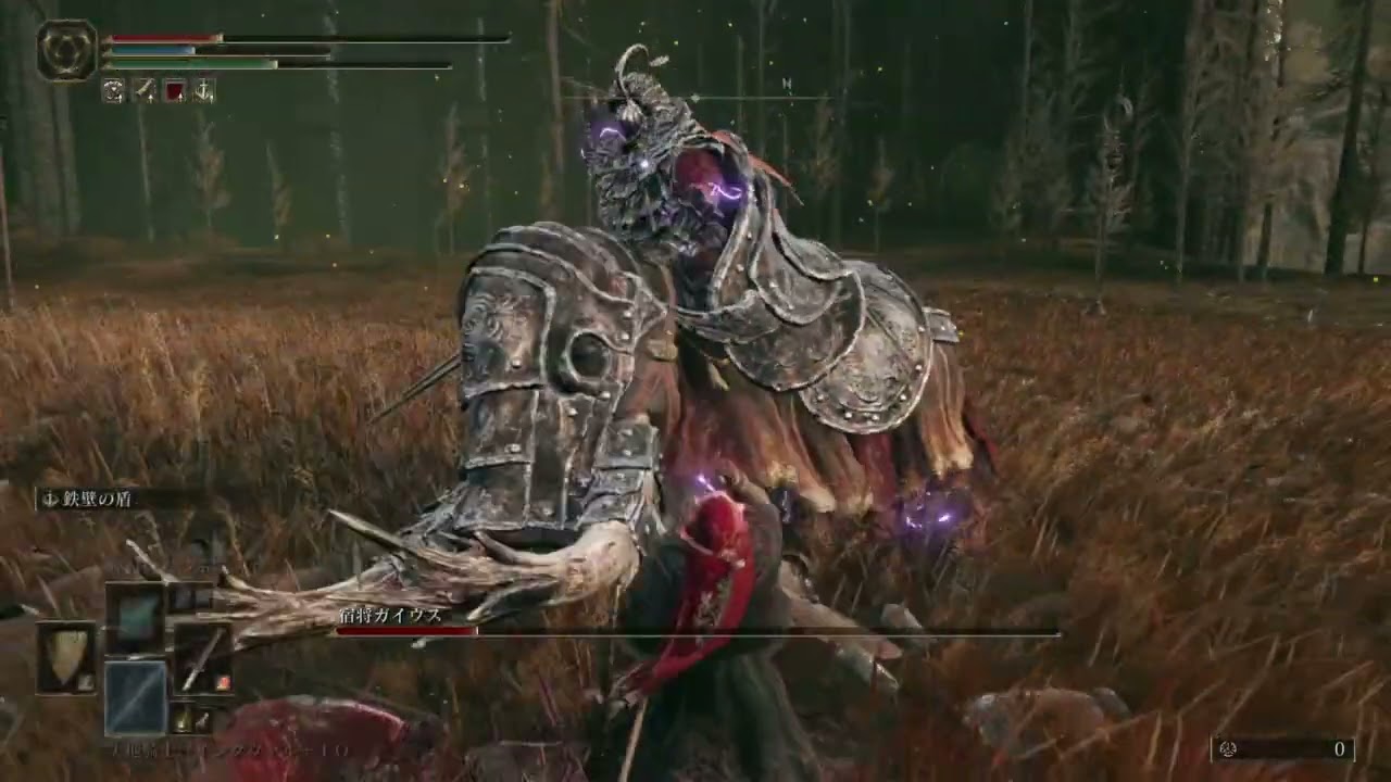 惜しい！ガイウス戦