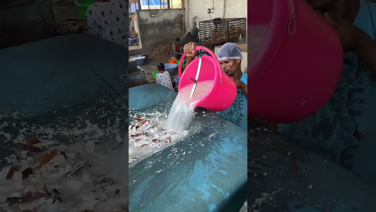 नारियली बुरादा कैसे बनता है