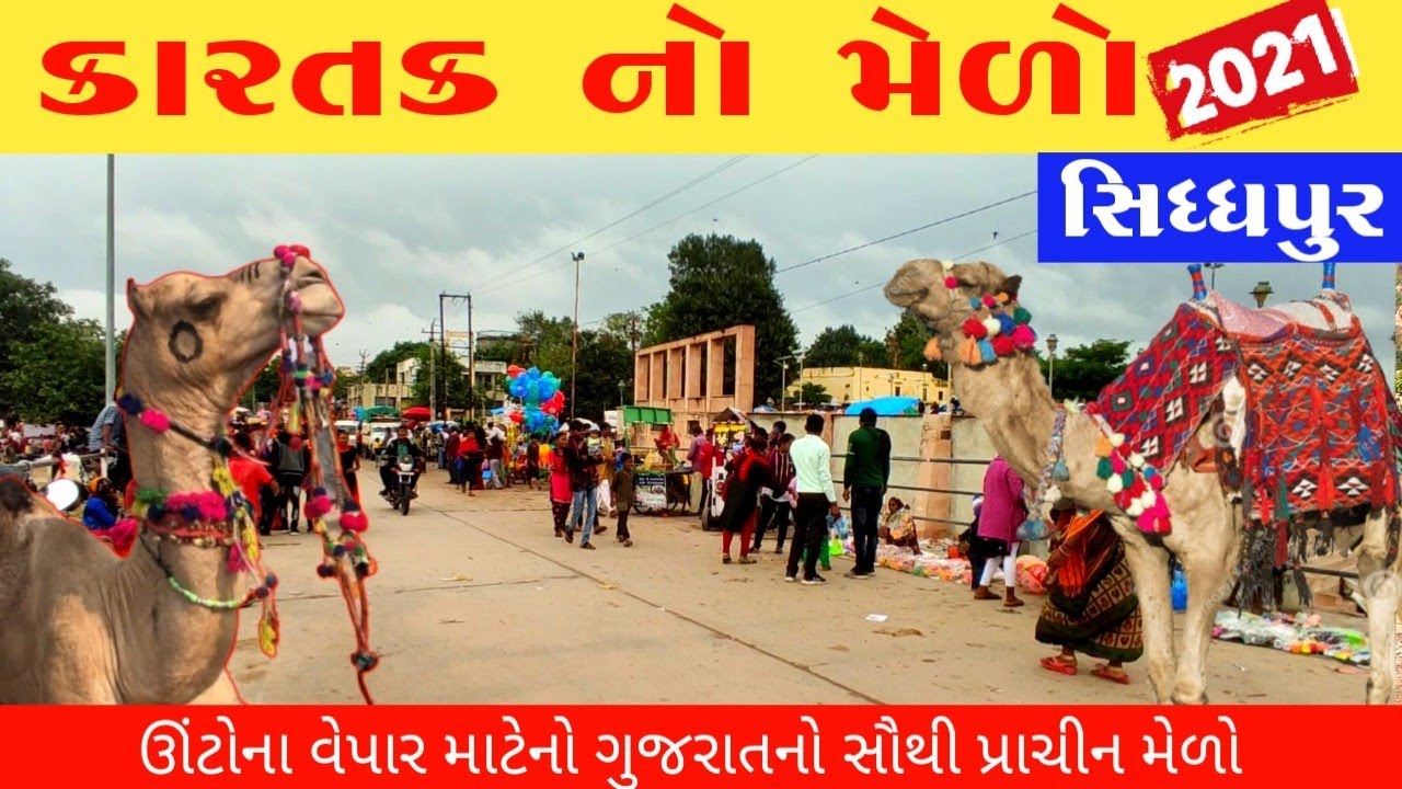 ઉત્તર ગુજરાતનો સૌથી મોટો મેળો | સિદ્ધપુર મેળો | sidhpur no melo | melo sidhpur | sidhpur Gujarat