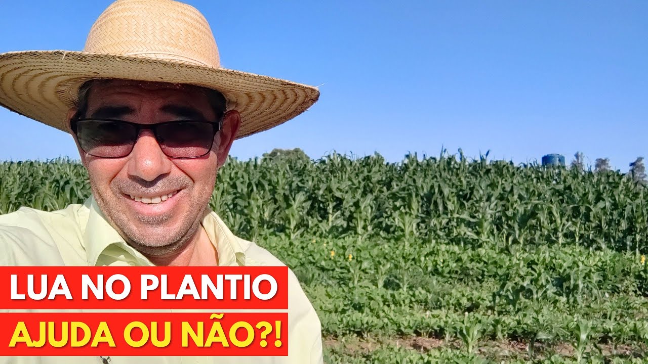 Melhor LUA para PLANTAR o MILHO! Vale a Pena ou Não?!