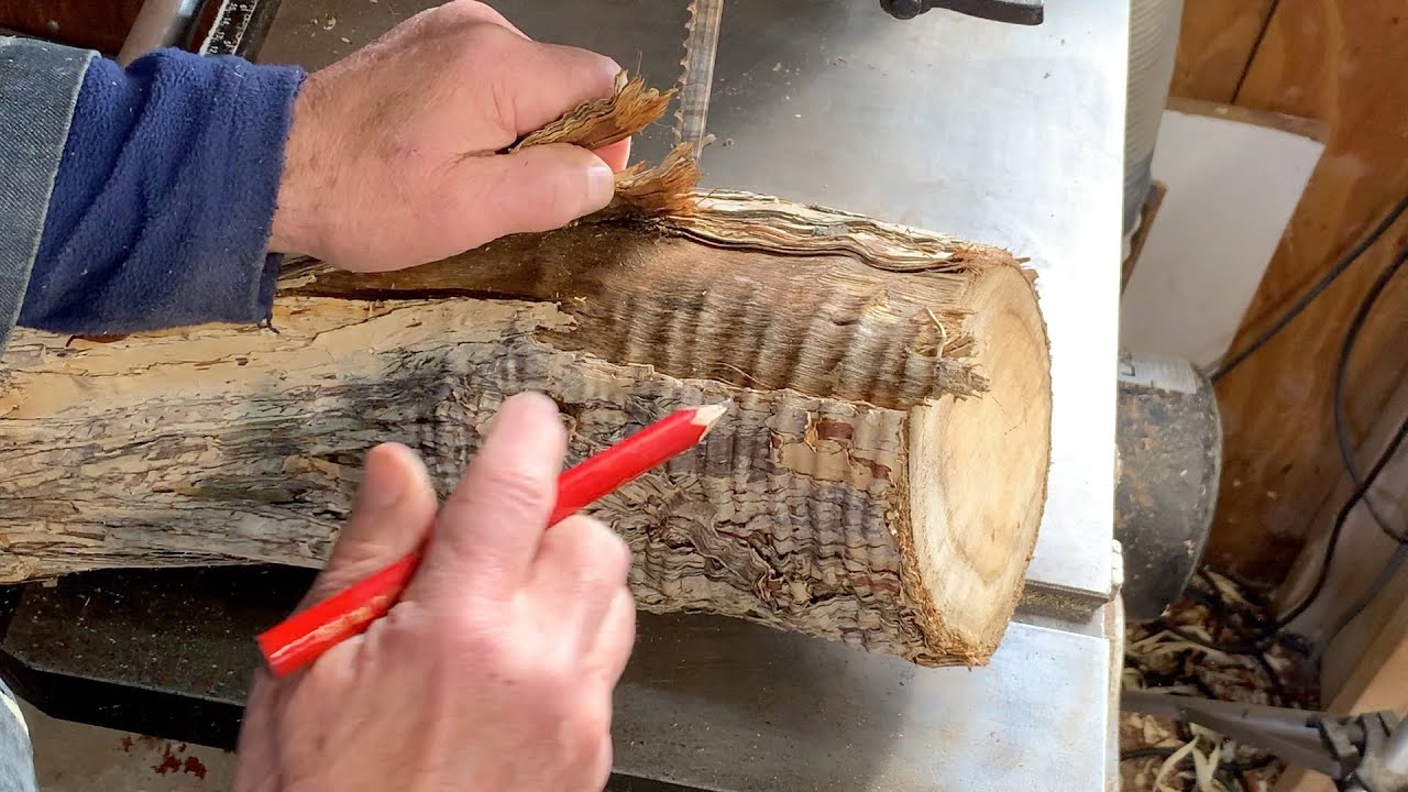 Richard Raffan on identifying fiddleback grain, then cutting blanks and rough-turning two bowls.