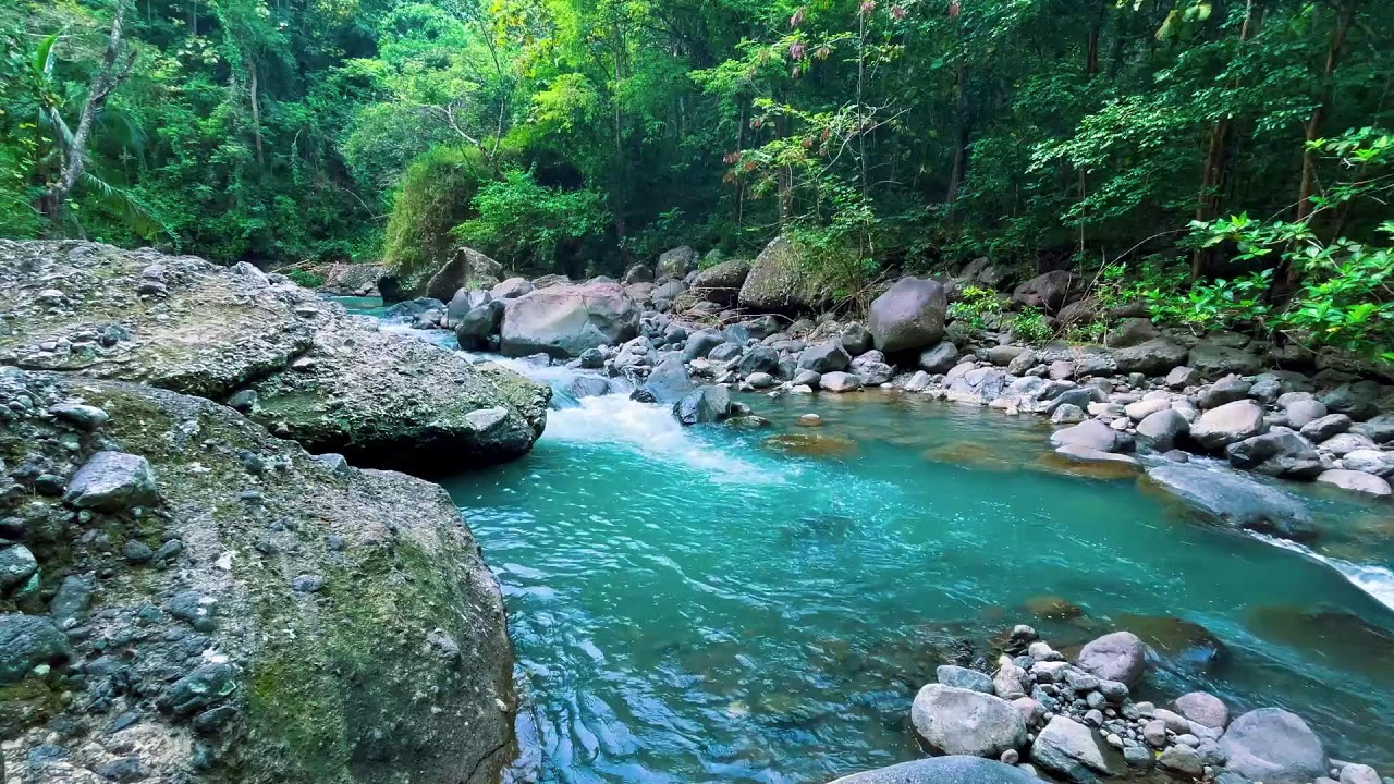 Sleep Better with Peaceful River Sounds | Relaxing Water White Noise for Insomnia & Anxiety